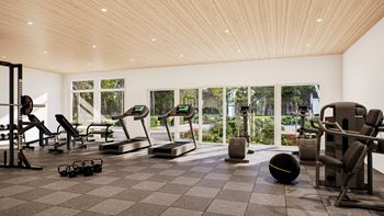 Gym with cardio equipment 